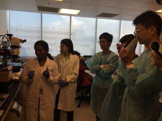 image018.jpg image018.jpg